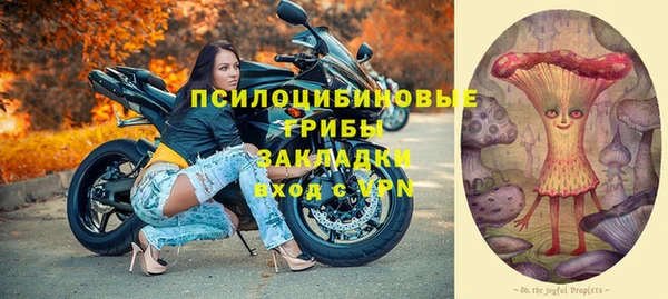 дмт Алексеевка