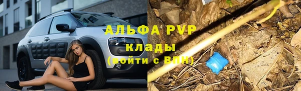 дурь Лиски